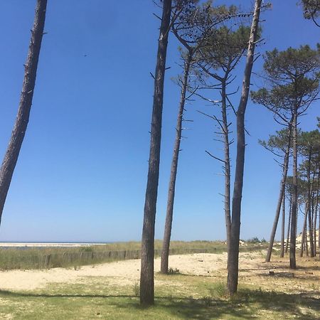 Appartement Spacieux Arcachon Ngoại thất bức ảnh
